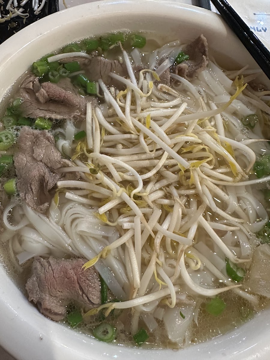 Taste Of Vietnam Restaurant-4